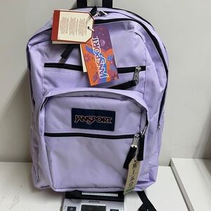JanSport Pastel Lilac Backpack XL Multiple